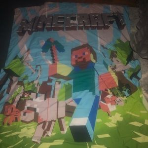 Minecraft curtains x2